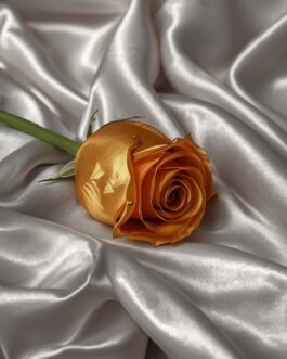 Rose de Soutien Gold